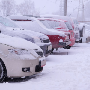 Vehicles covered in snow