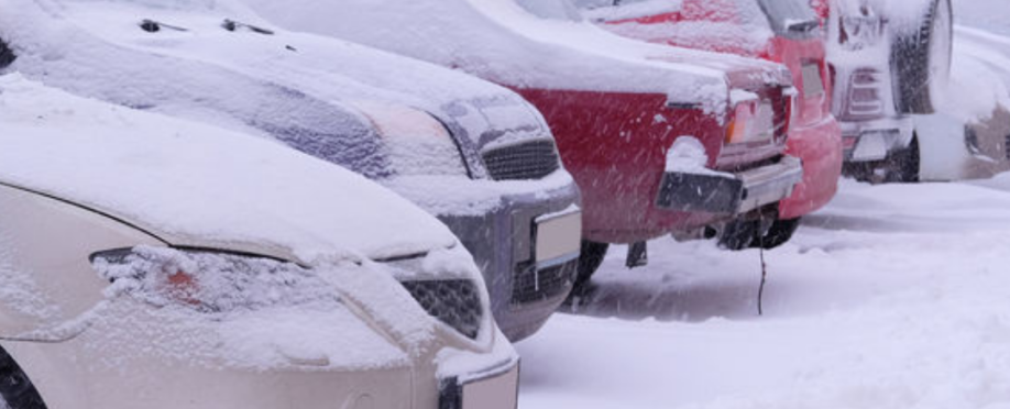 Vehicles covered in snow