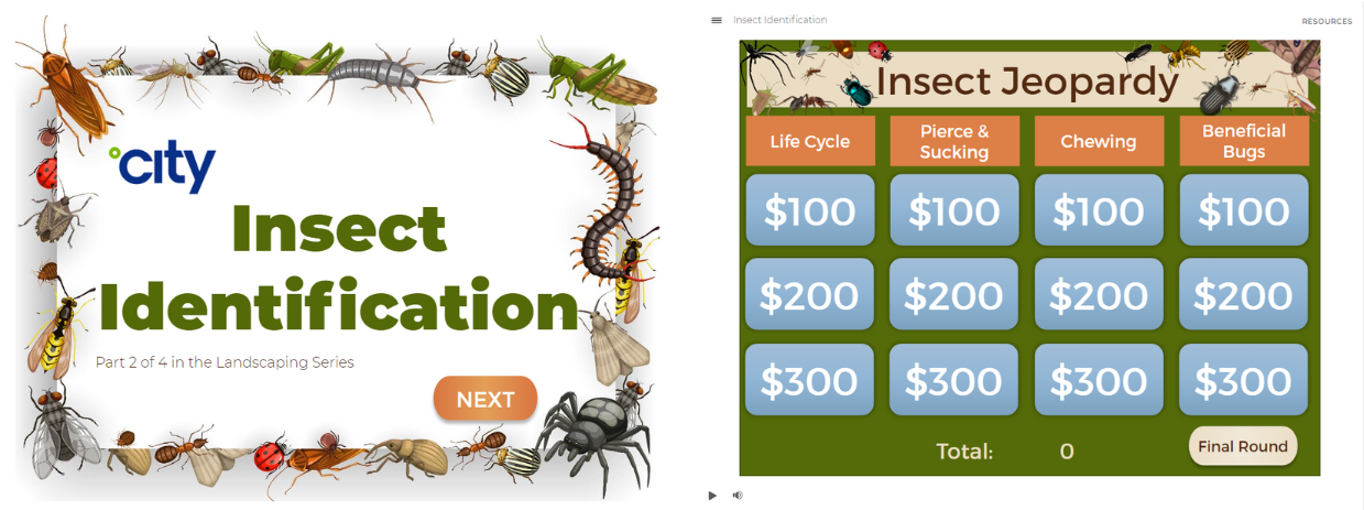 On LEFT: PowerPoint Slide that reads "Insect Identification" with the City logo above it and "Part 2 of 4 in the Landscaping series" below it. Next to that is an orange "Next" button. The words are surrounded by a square outline of cartoon insects. On RIGHT: PowerPoint Slide that reads "Insect Jeopardy" with a square around the title with cartoon bugs. There are 4 sections titled "Life Cycle," "Piercing & Sucking," "Chewing," and "Beneficial Bugs." Each option goes from $100-$300. 